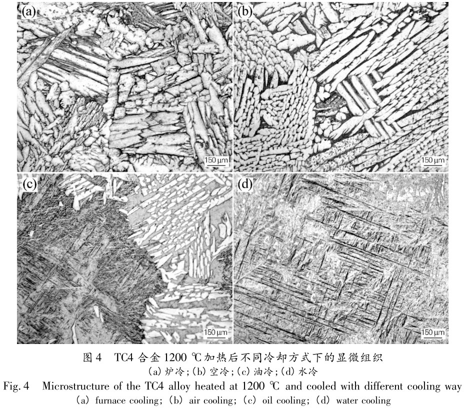 熱處理工藝對(duì)TC4鈦合金厚板組織及硬度的影響