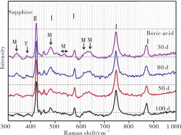 先進表征技術(shù)在鋯絲鋯棒等鋯合金顯微組織研究中的應(yīng)用進展