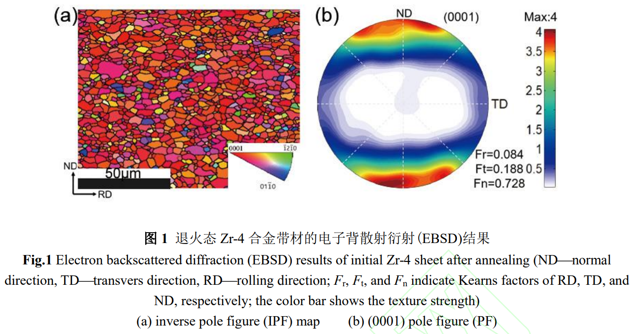 鋯合金帶材沖制過程織構(gòu)演變和變形機(jī)制：實驗和宏微觀耦合模擬研究