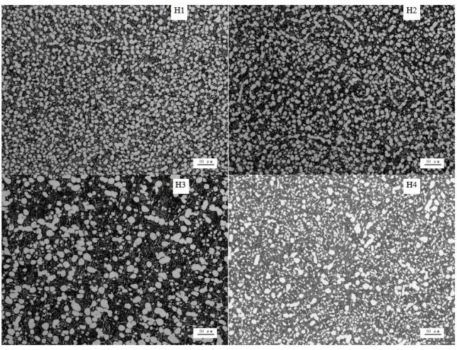 1713887716433773.jpg 360截圖163301069584118.jpg