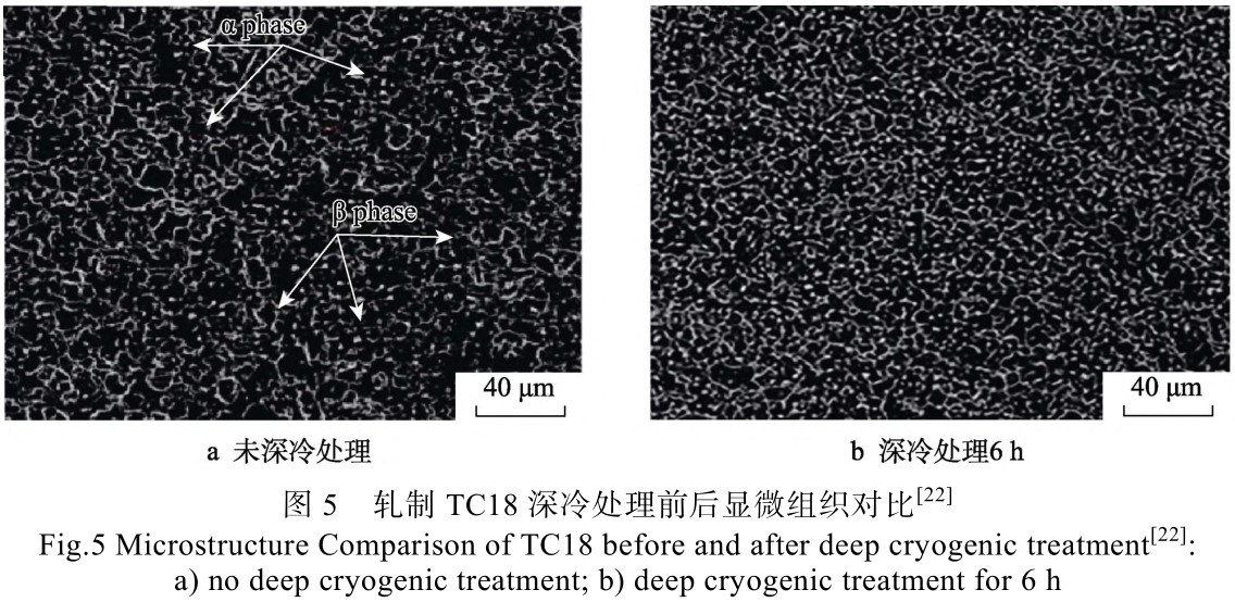 1714996033971744.jpg 未標(biāo)題-6.jpg