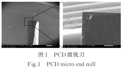 1721823859128058.jpg t1.jpg