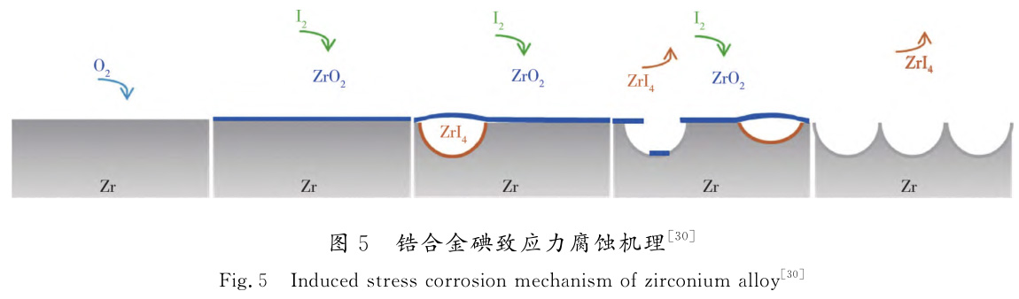 1729065256421597.jpg t5.jpg