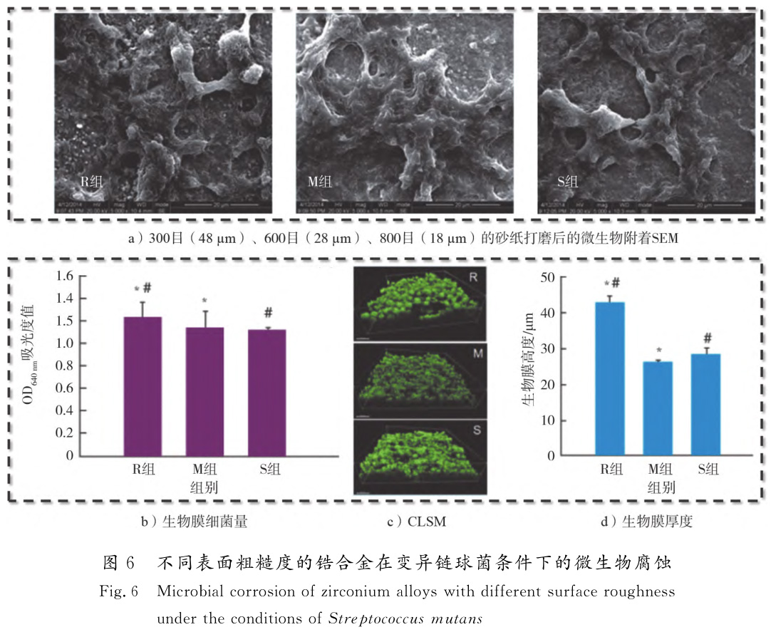 1729065266470382.jpg t6.jpg