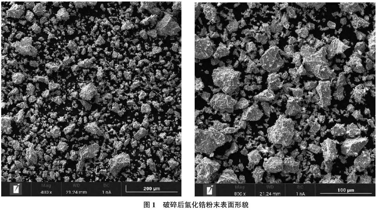 1729157567632462.jpg 360截圖16740120284371.jpg