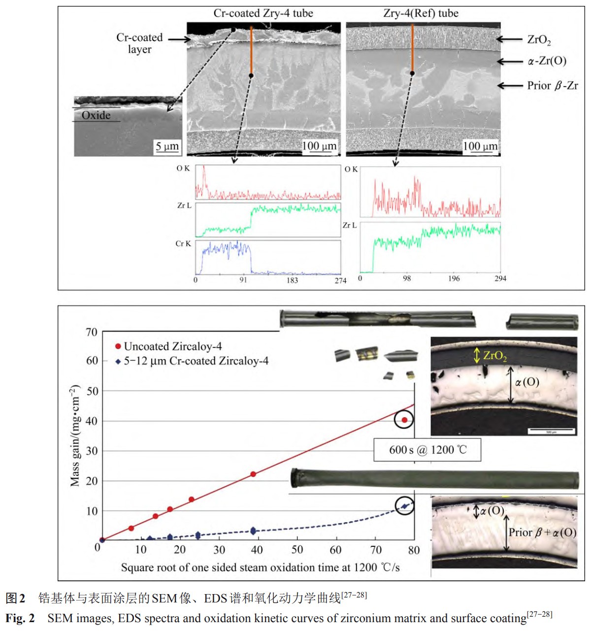 1734081760412272.jpg 2.jpg