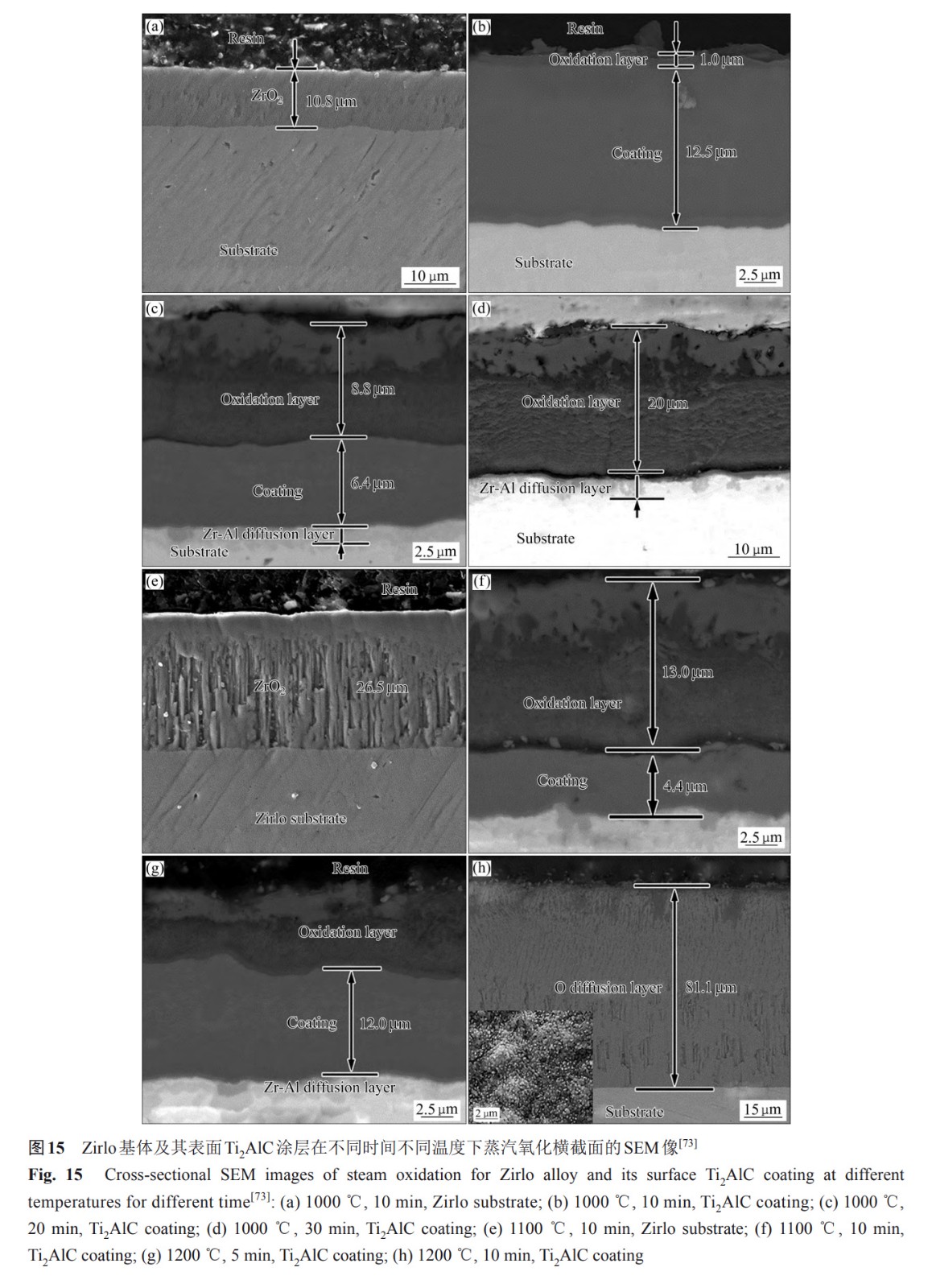 1734081929344268.jpg 15.jpg