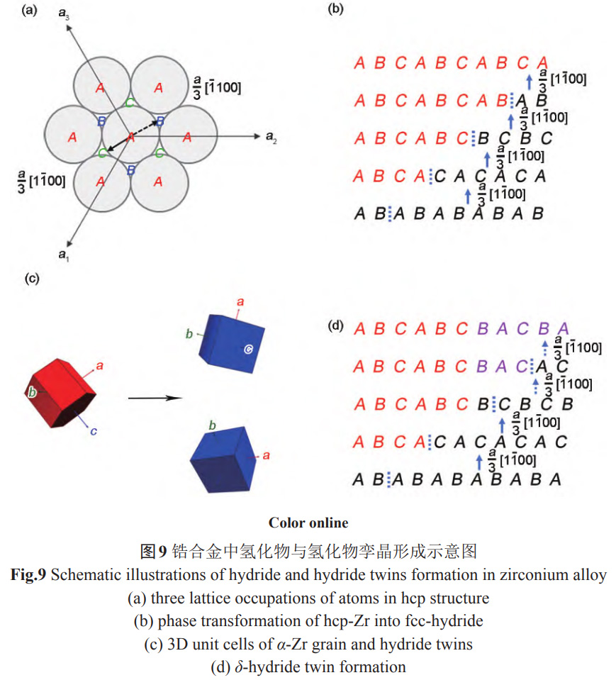 1734144509754332.jpg 9.jpg