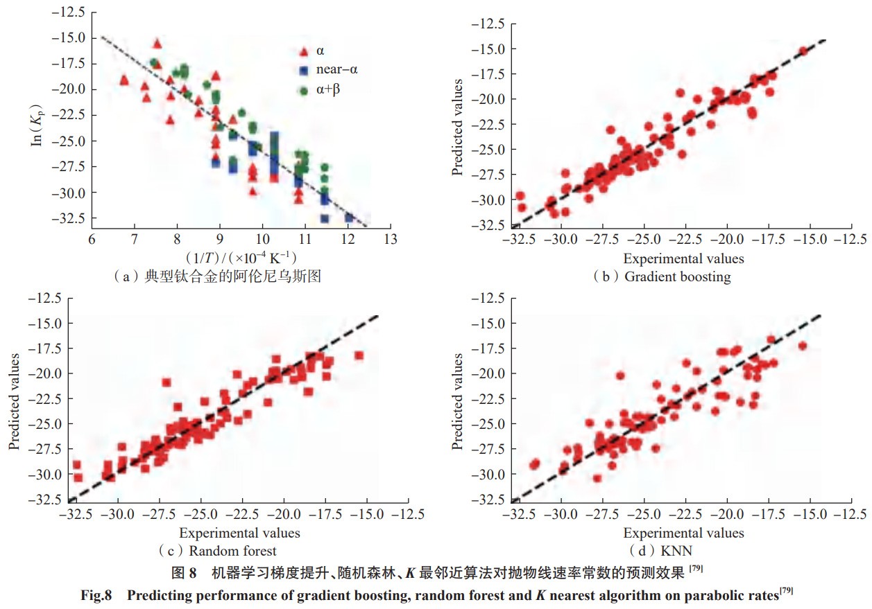 1735449466876336.jpg 8.jpg