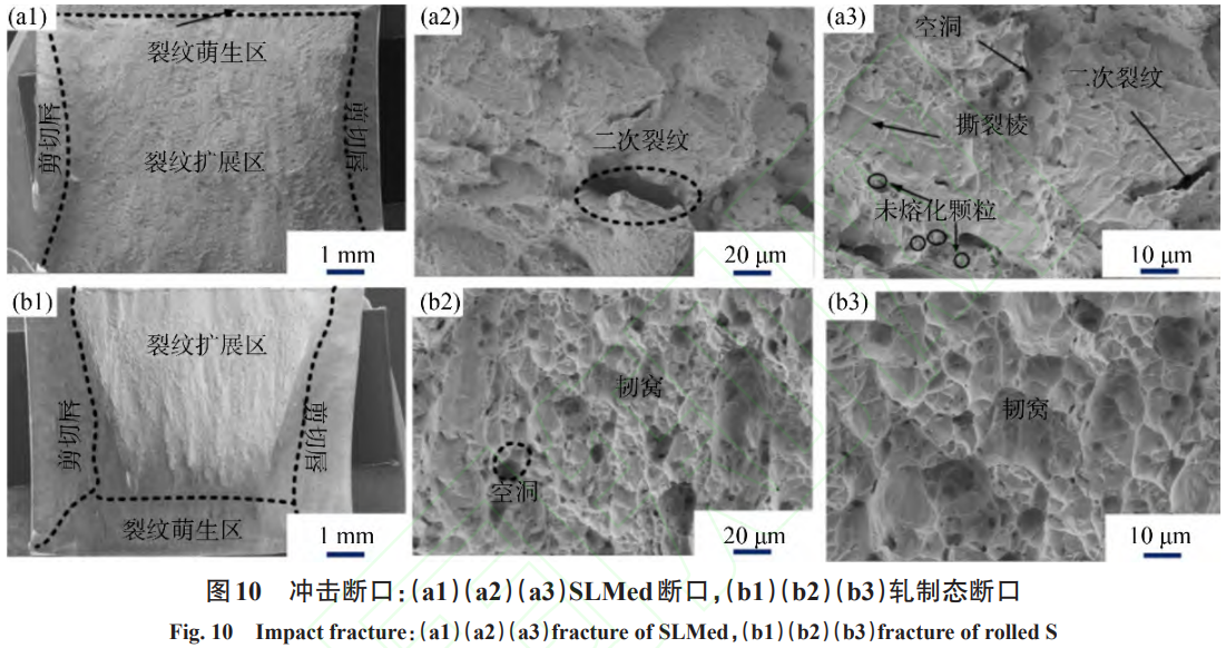 1738805576743096.png 截圖20250206092919.png